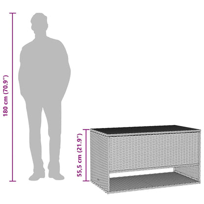 Outdoor-Kissenbox Grau 100x55x55,5 cm Poly Rattan