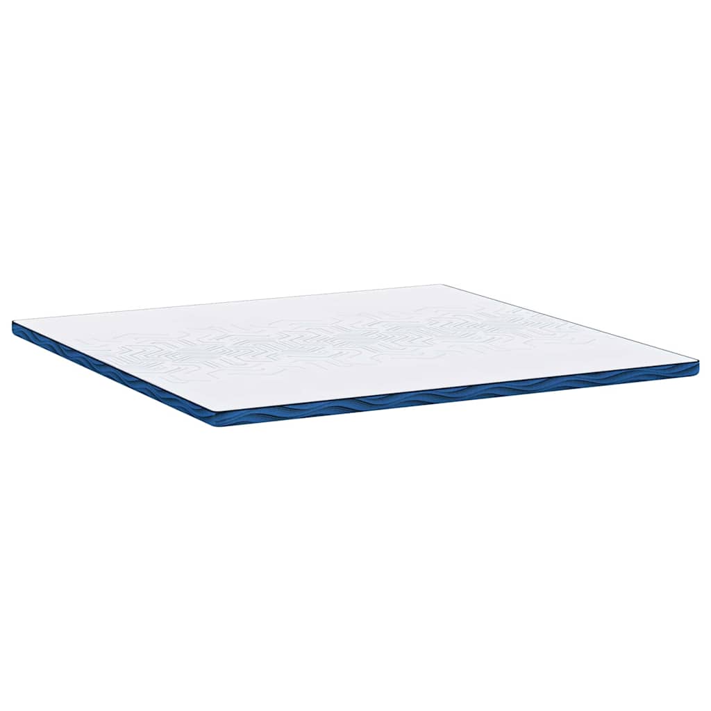 Matratzenpads Weiß und Blau 200 x 200 cm