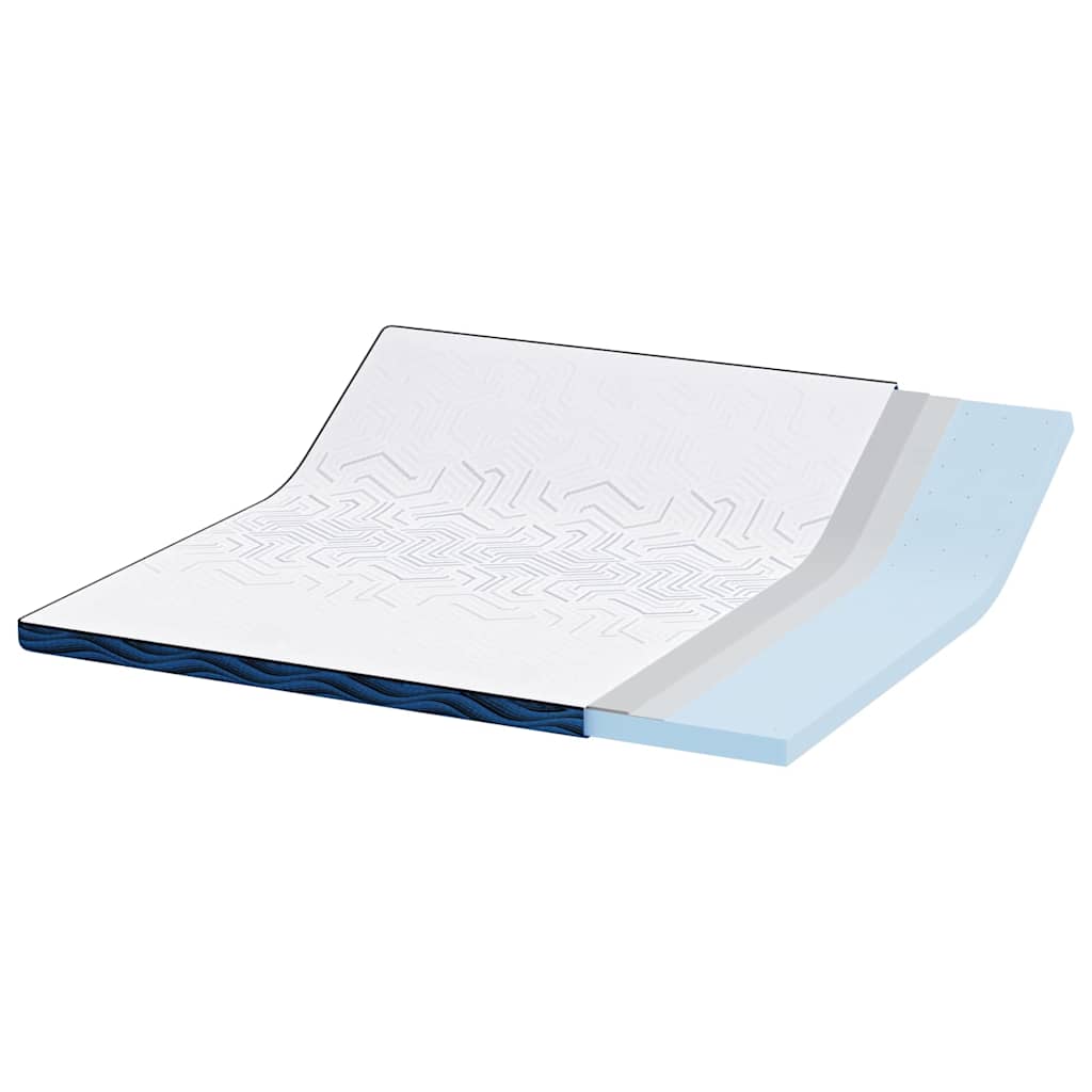 Matratzenpads Weiß und Blau 200 x 200 cm