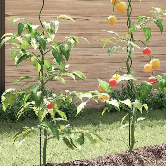 Spiral-Pflanzenstützen 5 pcs Grün 170 cm