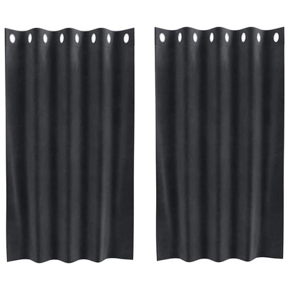 Vorhänge mit Vorhängen 2 pcs Dunkelgrau 140 x 140 cm Samt