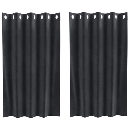 Vorhänge mit Vorhängen 2 pcs Dunkelgrau 140 x 140 cm Samt