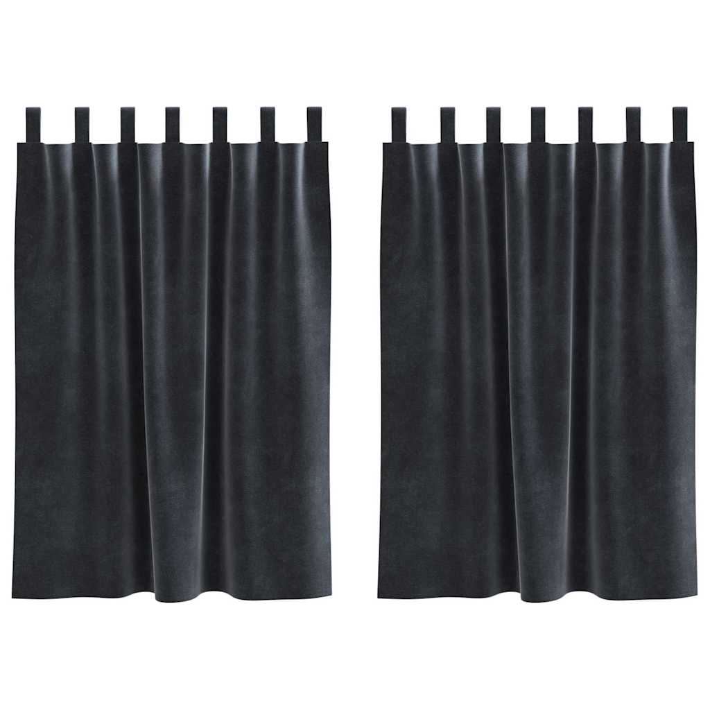 Vorhänge mit Vorhängen 2 pcs Dunkelgrau 140 x 140 cm Samt