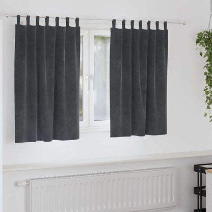 Vorhänge mit Vorhängen 2 pcs Hellgrau 140 x 140 cm Samt