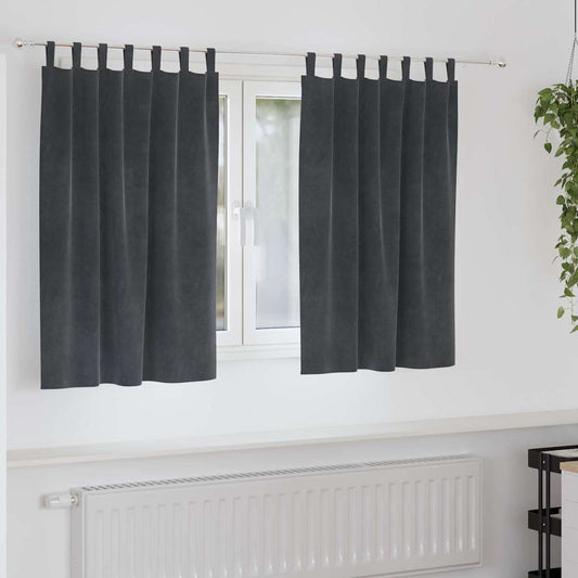 Vorhänge mit Vorhängen 2 pcs Hellgrau 140 x 140 cm Samt
