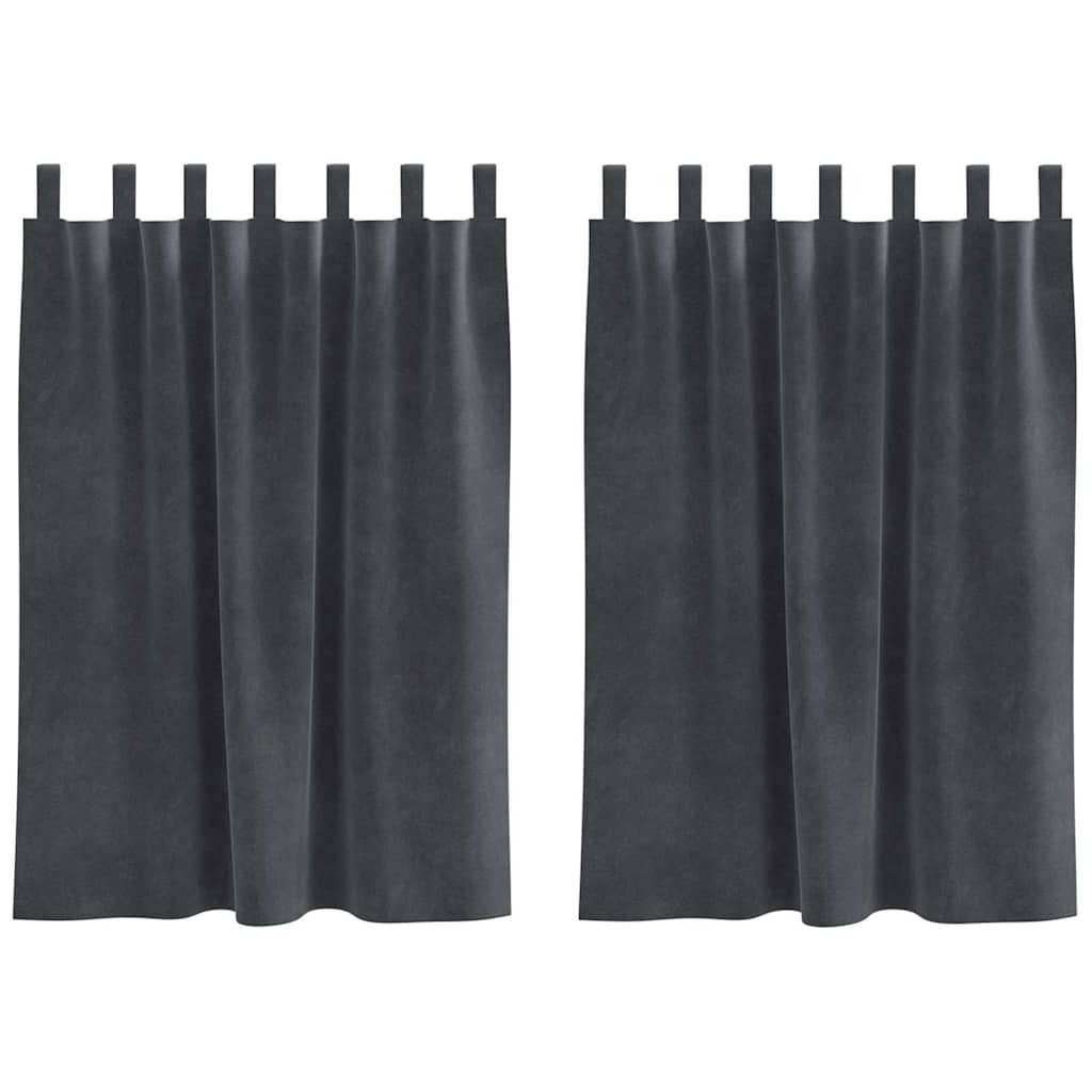 Vorhänge mit Vorhängen 2 pcs Hellgrau 140 x 140 cm Samt