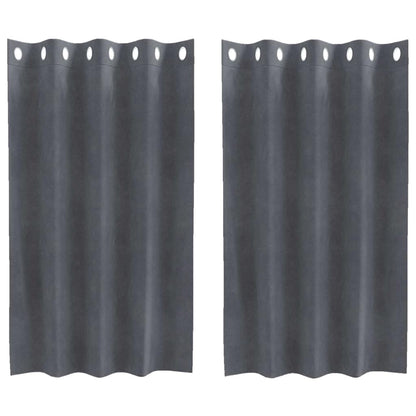 Vorhänge mit Vorhängen 2 pcs Hellgrau 140 x 140 cm Samt