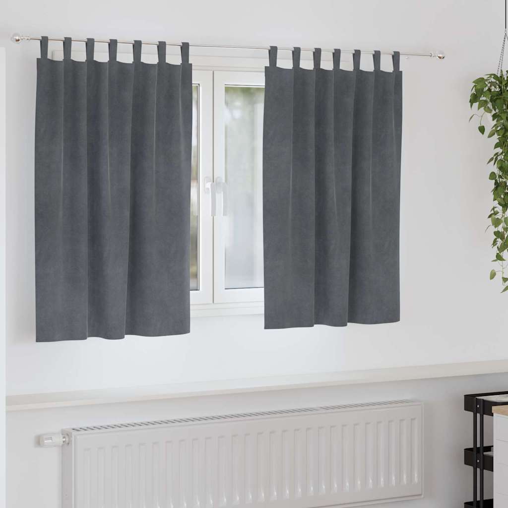 Vorhänge mit Vorhängen 2 pcs Hellgrau 140 x 140 cm Samt