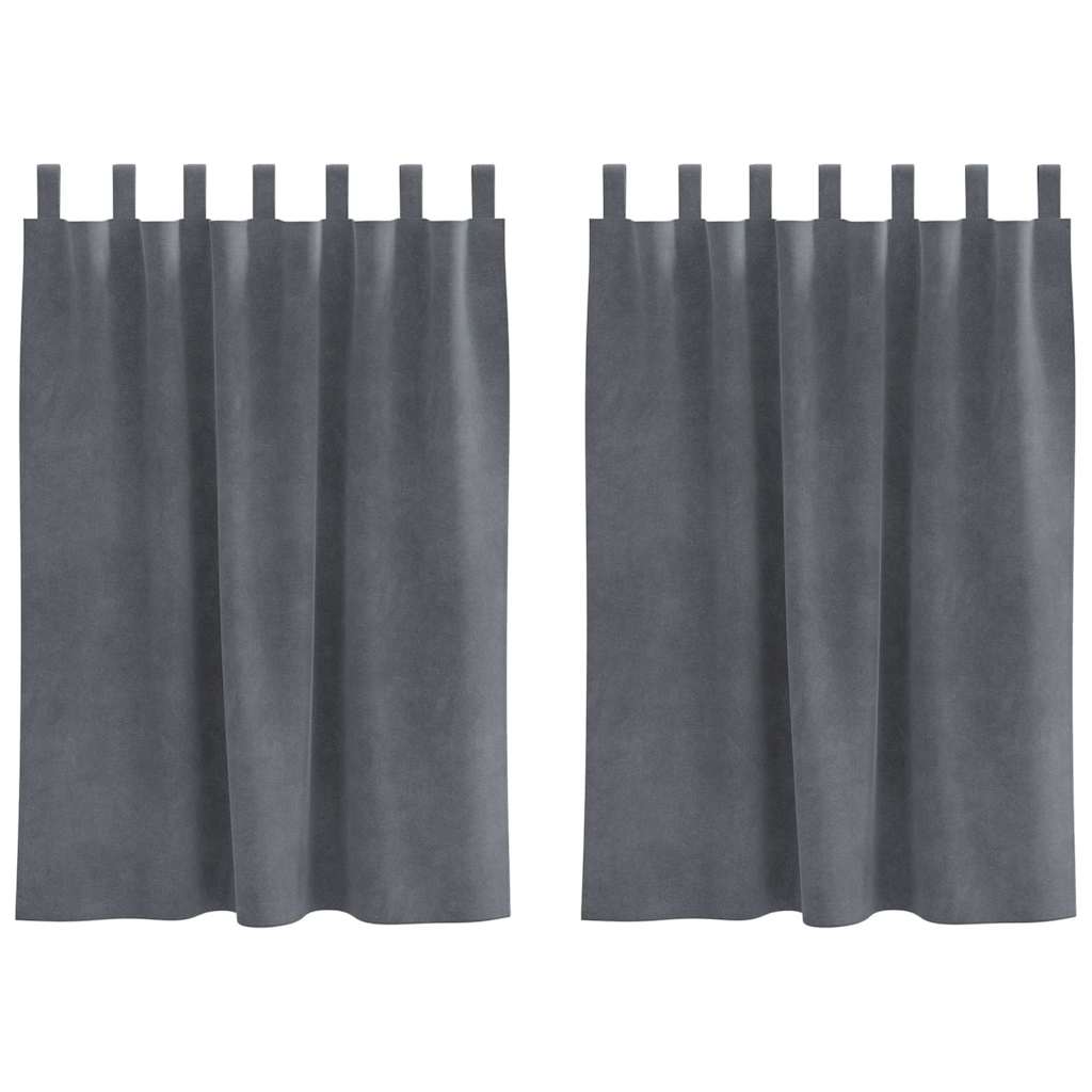 Vorhänge mit Vorhängen 2 pcs Hellgrau 140 x 140 cm Samt