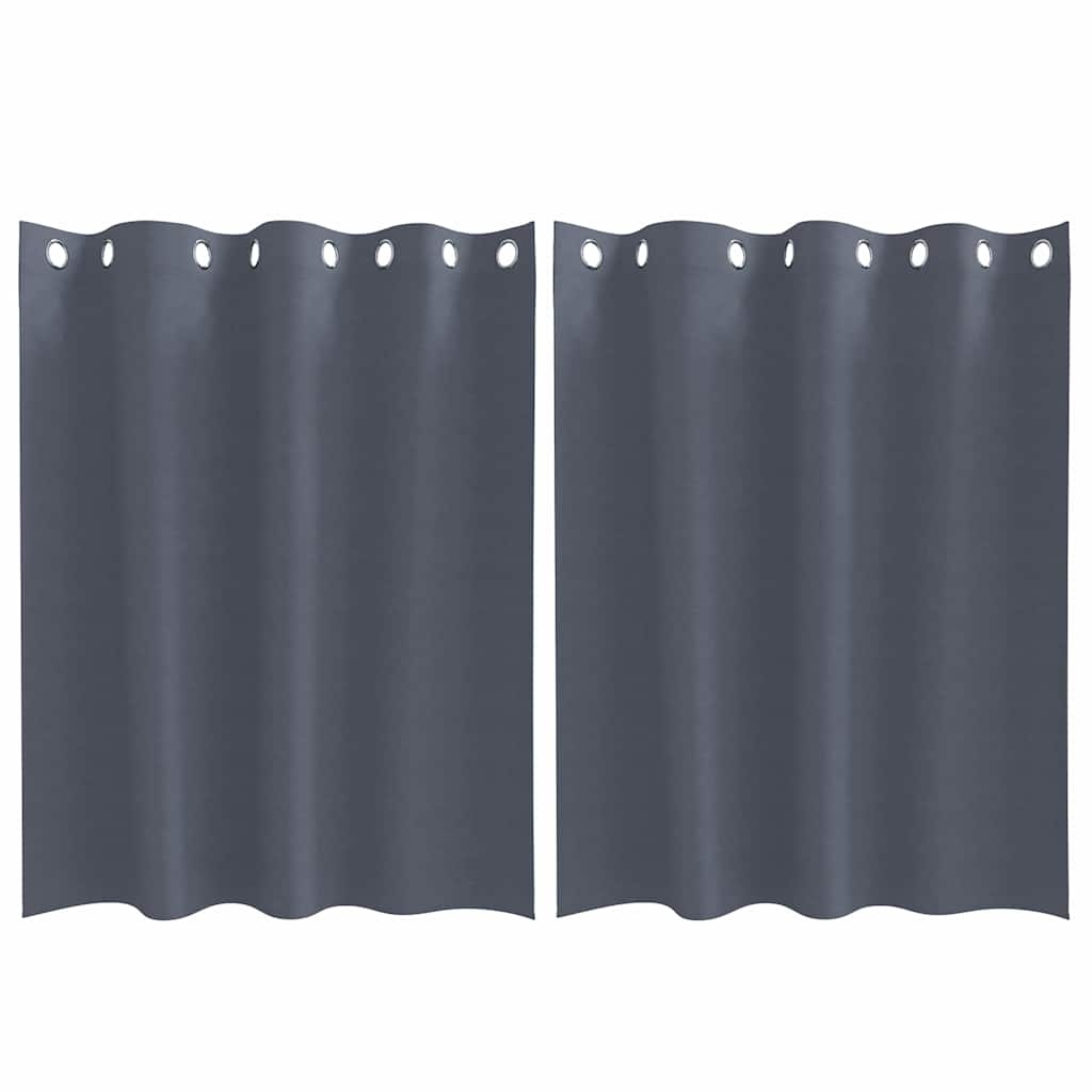 Vorhänge mit Vorhängen 2 pcs Anthrazit Polyester
