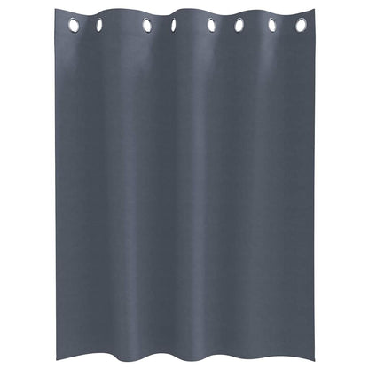Vorhänge mit Vorhängen 2 pcs Anthrazit Polyester