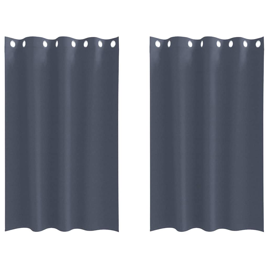 Vorhänge mit Vorhängen 2 pcs Anthrazit Polyester