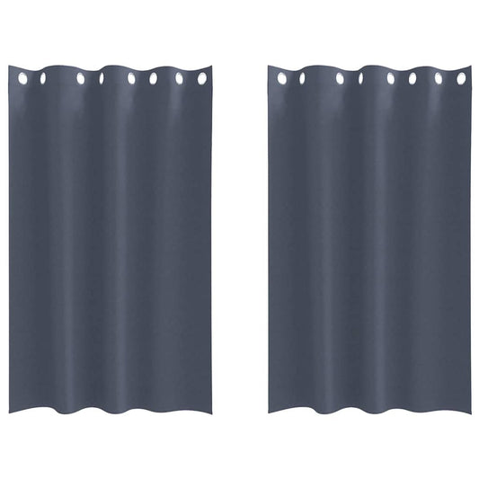 Vorhänge mit Vorhängen 2 pcs Anthrazit Polyester