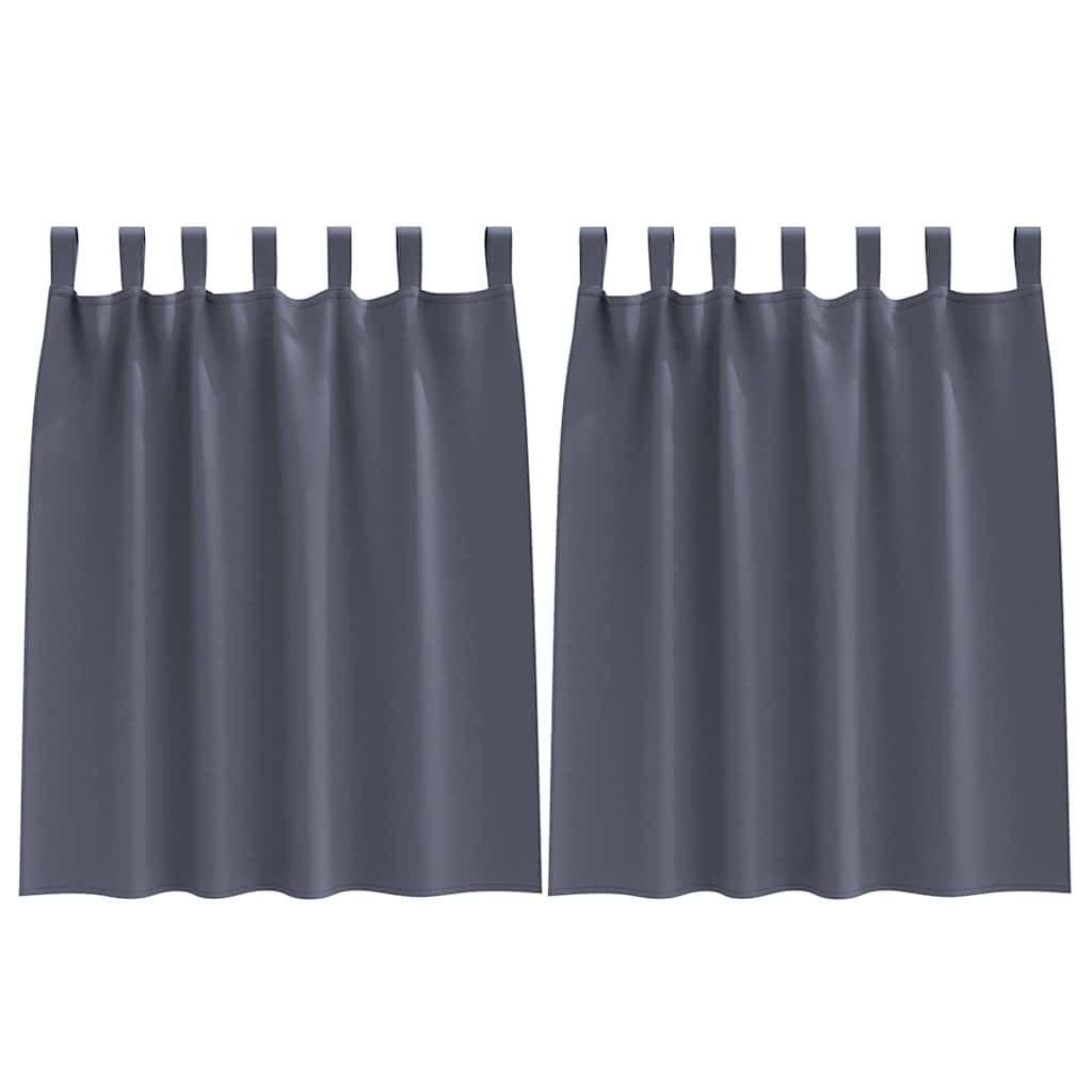 Vorhänge mit Vorhängen 2 pcs Anthrazit Polyester