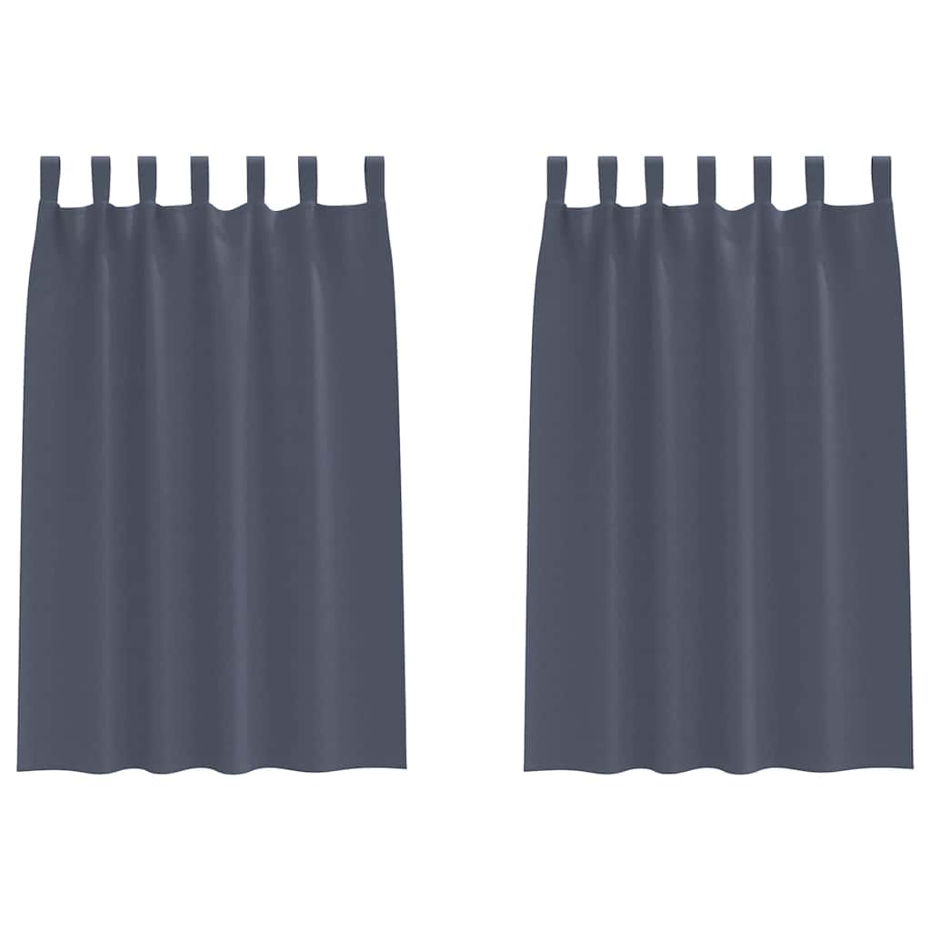 Vorhänge mit Vorhängen 2 pcs Anthrazit Polyester