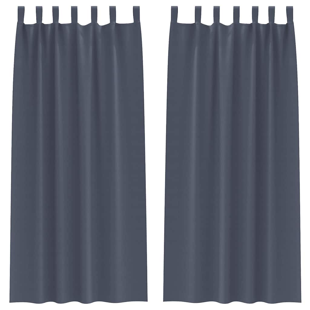 Vorhänge mit Vorhängen 2 pcs Anthrazit Polyester