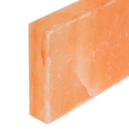 Salzsteine 10 pcs Rosa 20 x 2.5 x 10 cm Steine
