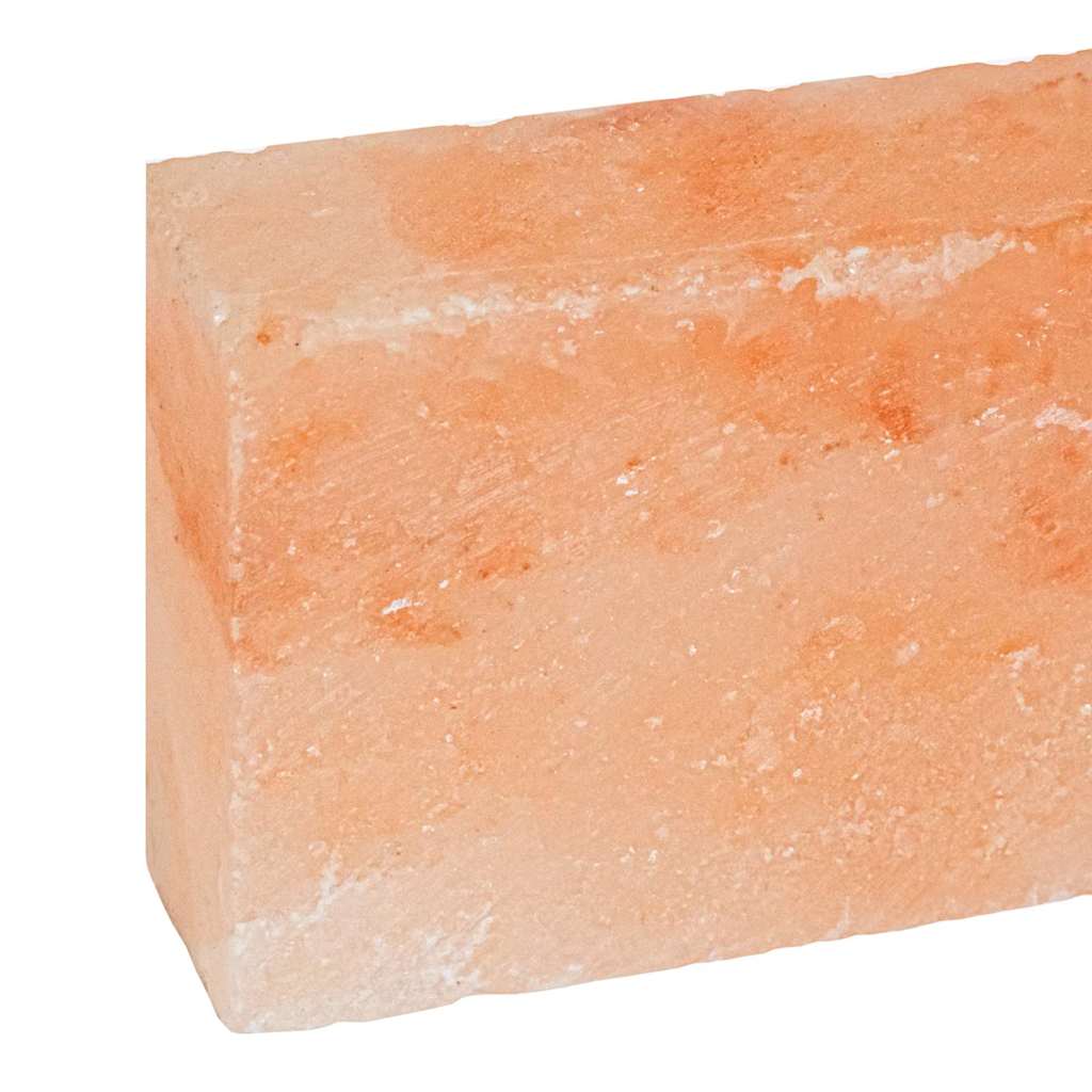 Salzsteine 10 pcs Rosa 20 x 5 x 10 cm Steinsalz
