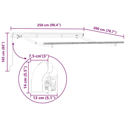 Einziehbare Markise Mehrfarbig 250 x 200 cm