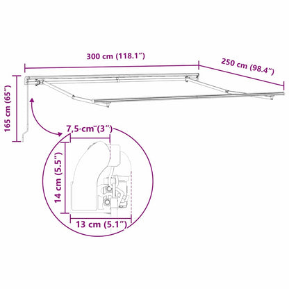Markise Schwarz 3 x 2,5 m Polyester und Metall
