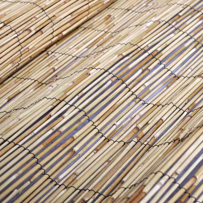 Schilfrohrzaun Braun 300 x 180 cm Schilf