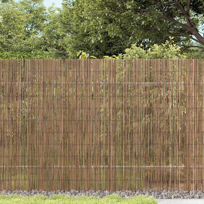 Schilfrohrzaun Braun 300 x 180 cm Schilf