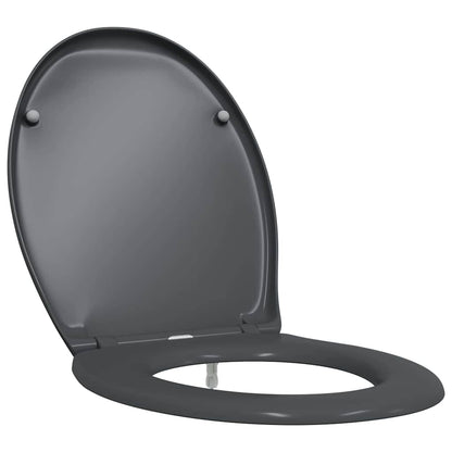 Schnellverschluss-WC-Sitz Anthrazit 44,8 x 37,3 x 4,2 cm