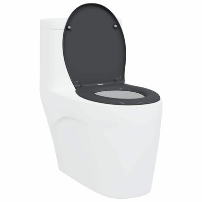 Schnellverschluss-WC-Sitz Anthrazit 44,8 x 37,3 x 4,2 cm
