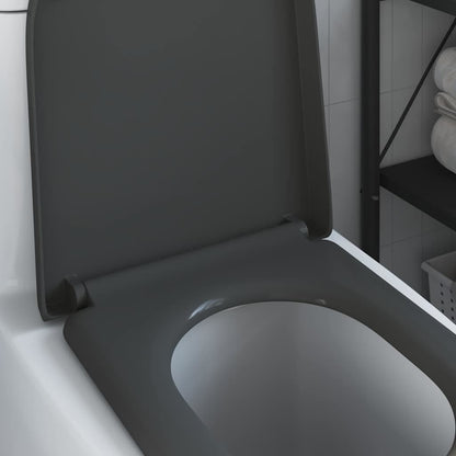 Schnellverschluss-WC-Sitz Anthrazit 46,2 x 36 x 4,3 cm