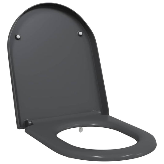 Schnellverschluss-WC-Sitz Anthrazit 46,2 x 36 x 4,3 cm