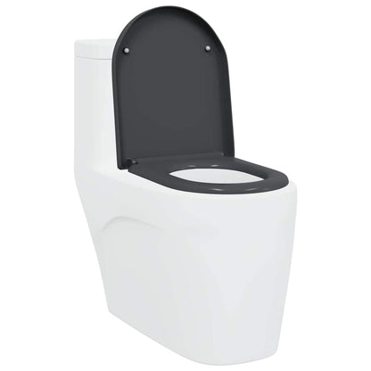 Schnellverschluss-WC-Sitz Anthrazit 46,2 x 36 x 4,3 cm