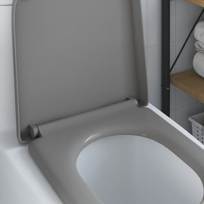 Schnellverschluss-WC-Sitz Grau 46,2 x 36 x 4,3 cm Duroplast