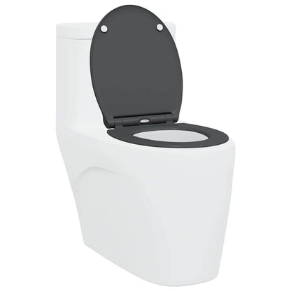 Schnellverschluss-WC-Sitz Anthrazit 45.5 x 37.5 x 3.8 cm