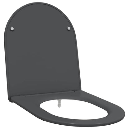 Schnellverschluss-WC-Sitz Anthrazit 44 x 36,4 x 3,4 cm