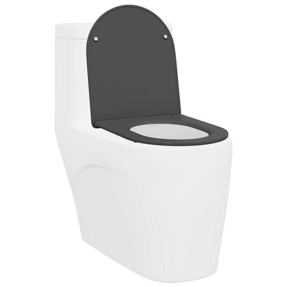 Schnellverschluss-WC-Sitz Anthrazit 44 x 36,4 x 3,4 cm
