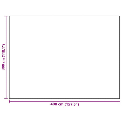Outdoor Teppich Grau 300 x 400 cm PP