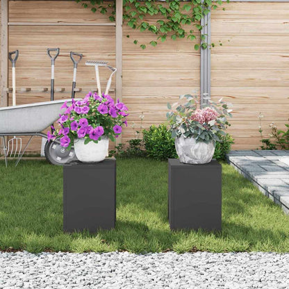 Pflanzenständer 2 pcs Schwarz 24 x 24 x 35 cm Stahl