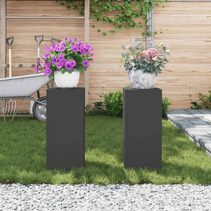 Pflanzenständer 2 pcs Schwarz 24 x 24 x 55 cm Stahl