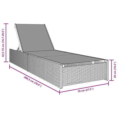 Sonnenliege mit Kissen Grau 60 x 200 x 27cm Poly-Rattan
