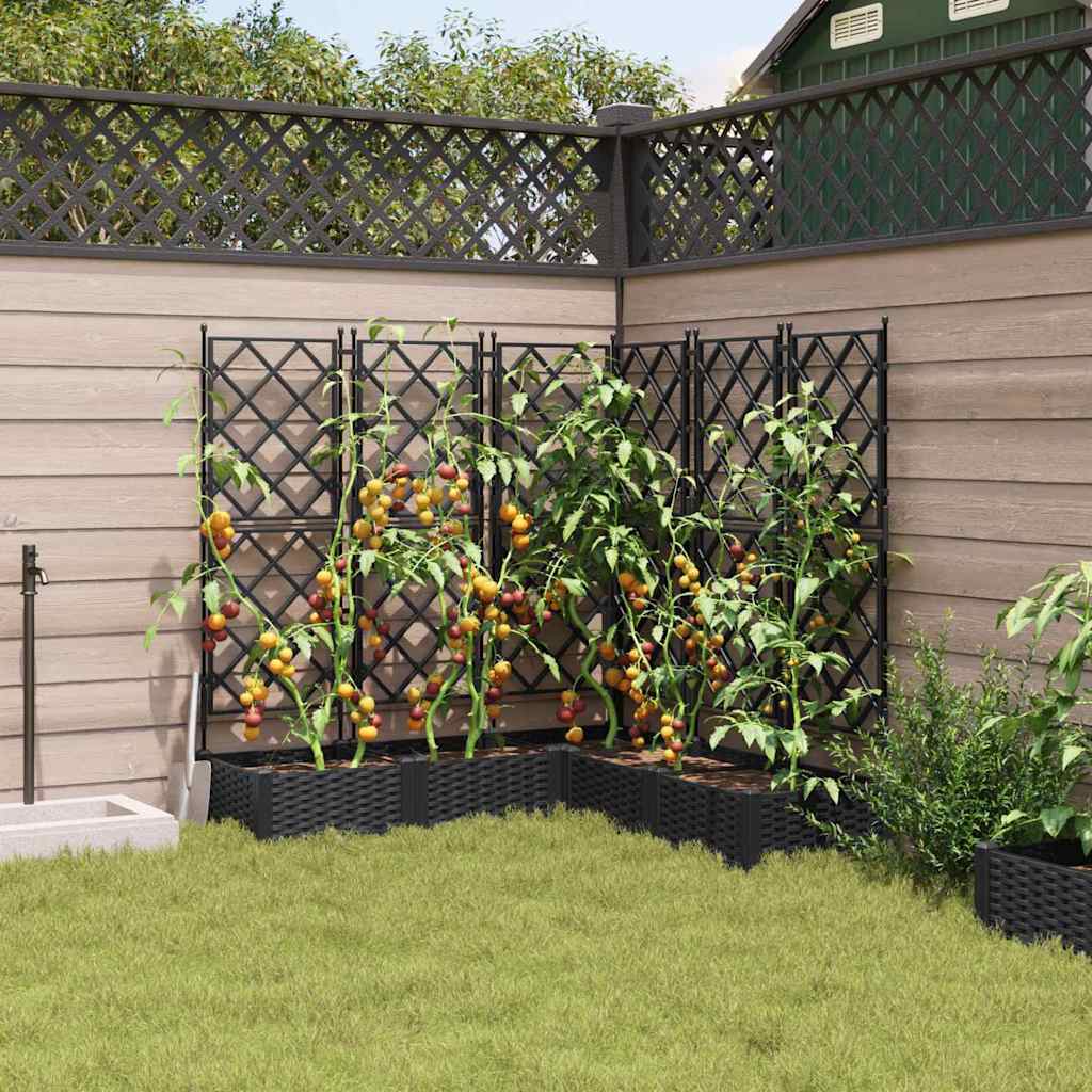 Gartenpflanzer mit Gitter 5 pcs Schwarz 120 x 120 x 125,5 cm PP