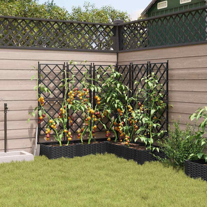 Gartenpflanzer mit Gitter 5 pcs Schwarz 120 x 120 x 125,5 cm PP
