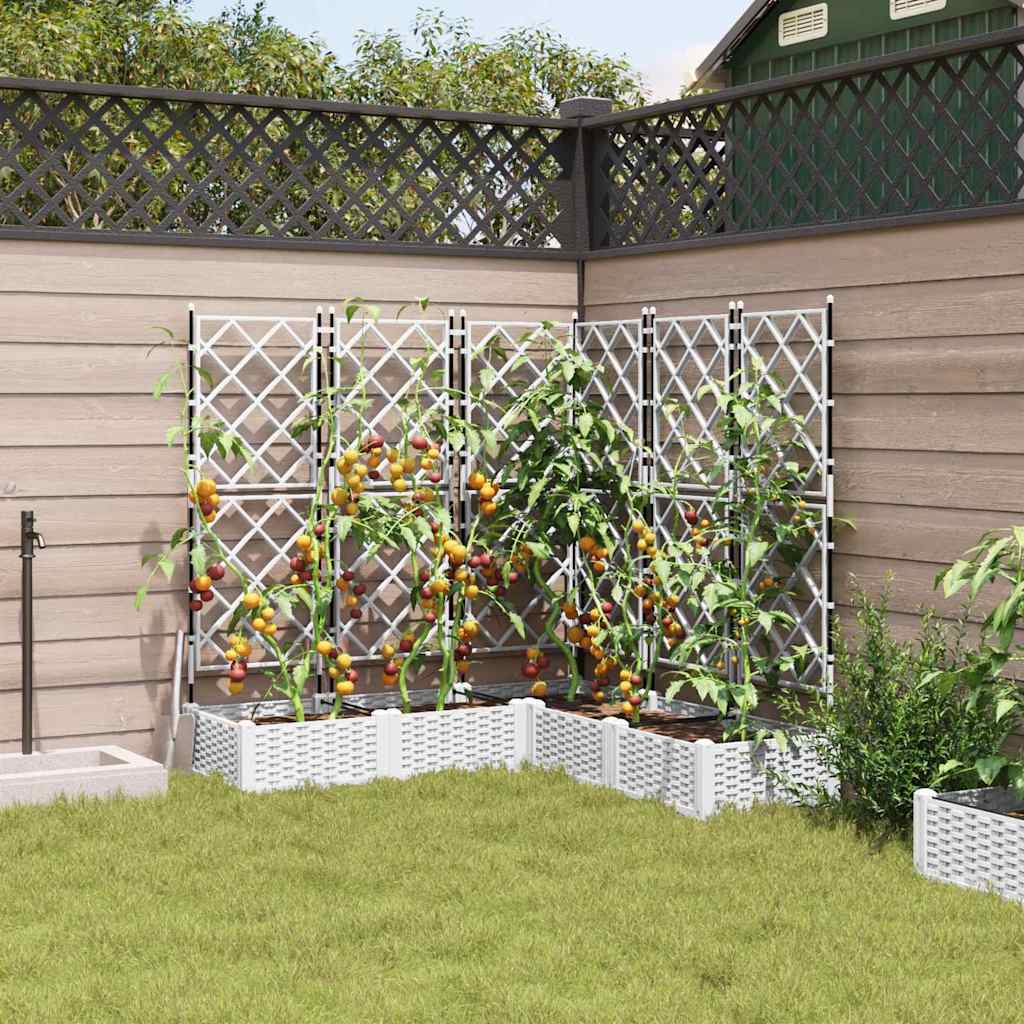 Gartenpflanzer mit Gitter 5 pcs Weiß 120 x 120 x 125,5 cm PP