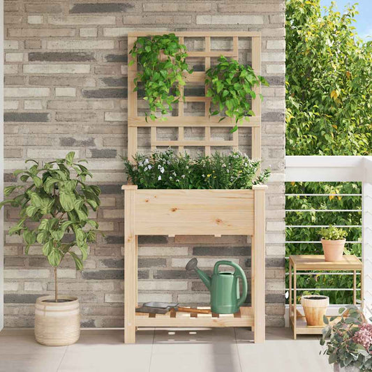 Gartenblumentopf Beige 71 x 38 x 152 cm Massives Fichtenholz