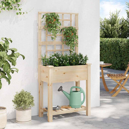 Gartenblumentopf Beige 71 x 38 x 152 cm Massives Fichtenholz