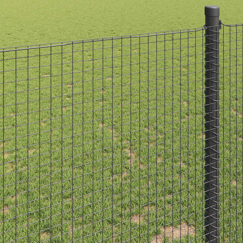 Geschweißter Drahtzaun Grau 0,8 x 25 m Stahl