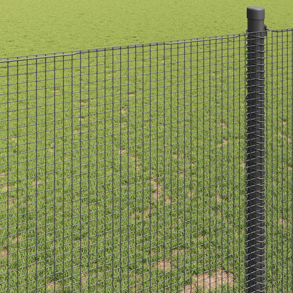 Geschweißter Drahtzaun Grau 0,8 x 50 m Stahl