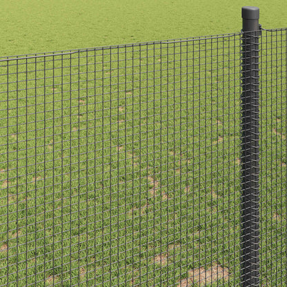 Geschweißter Drahtzaun Grau 0,8 x 50 m Stahl