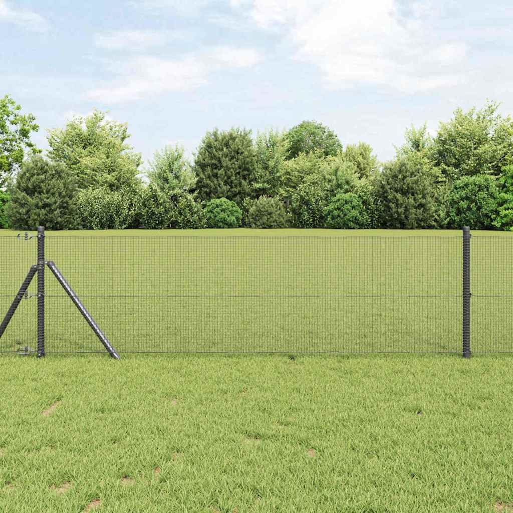 Geschweißter Drahtzaun Grau 0,8 x 50 m Stahl