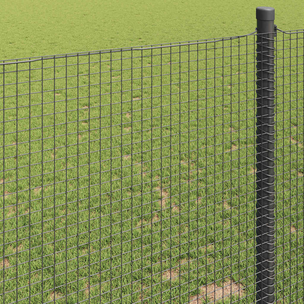 Geschweißter Drahtzaun Grau 1 x 50 m Stahl