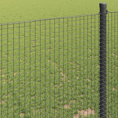 Geschweißter Drahtzaun Grau 1,2 x 50 m Stahl